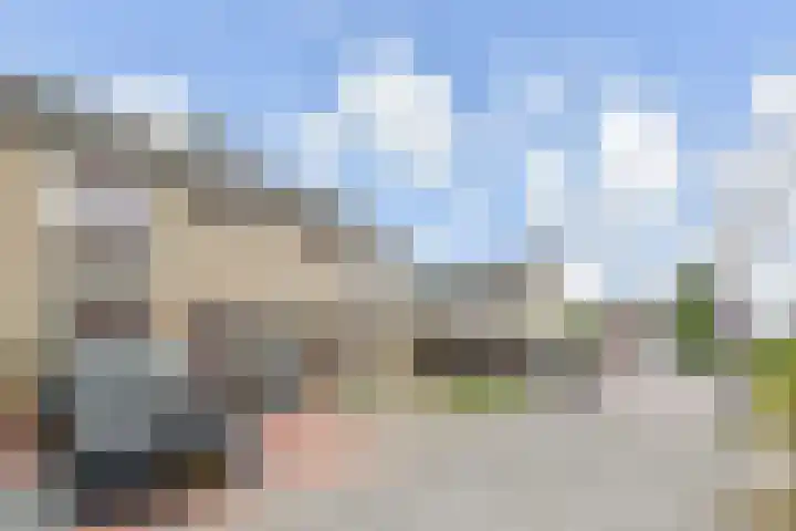 Dammaspolderpad 15 Gouda thumbnail 34
