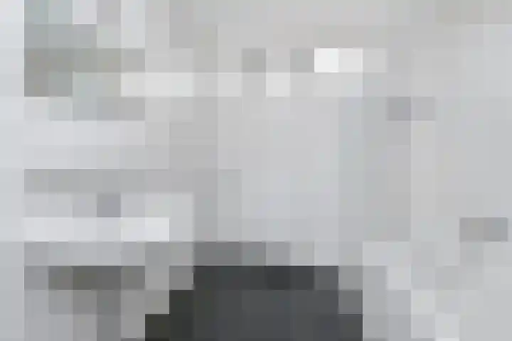 Dammaspolderpad 15 Gouda thumbnail 4