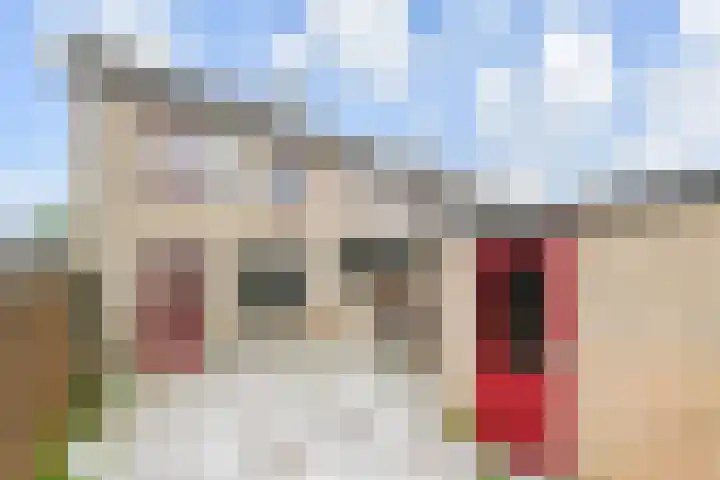 Dammaspolderpad 15 Gouda thumbnail 5