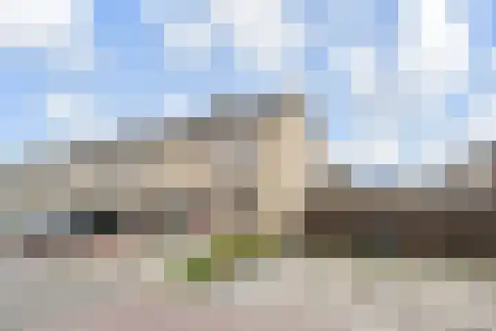 Dammaspolderpad 15 Gouda thumbnail 6