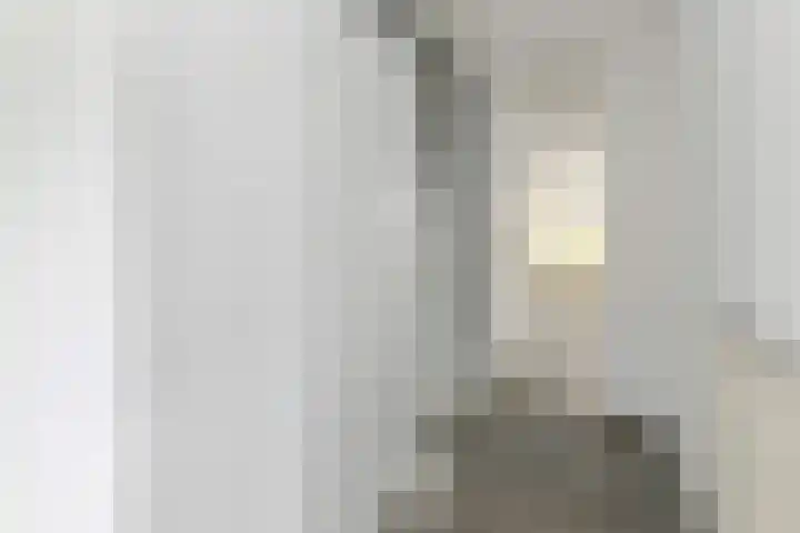 Dammaspolderpad 15 Gouda thumbnail 7