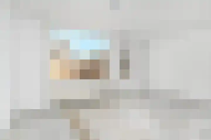Dammaspolderpad 15 Gouda thumbnail 8