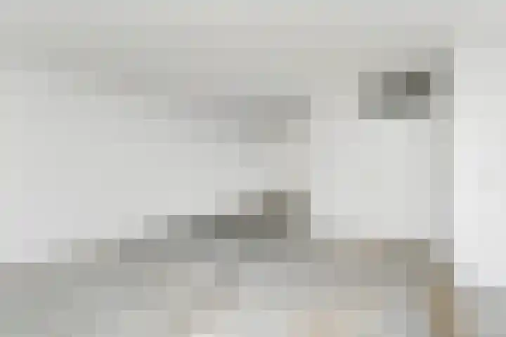 Dammaspolderpad 15 Gouda thumbnail 9