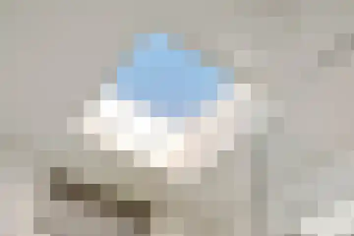Dammenlaan 10 's-Hertogenbosch thumbnail 21