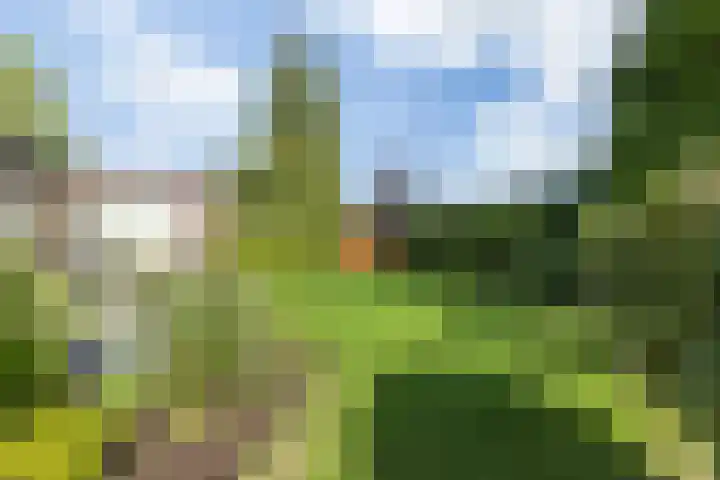 Dammenlaan 10 's-Hertogenbosch thumbnail 23