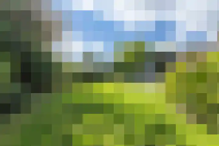 Dammenlaan 10 's-Hertogenbosch thumbnail 24