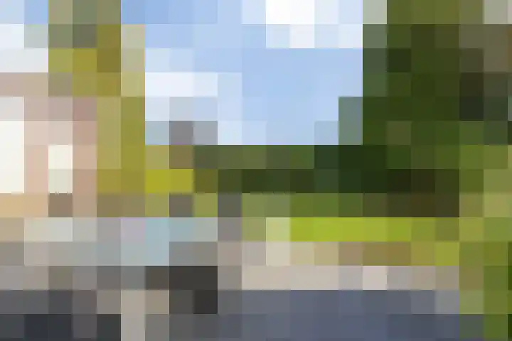 Dammenlaan 10 's-Hertogenbosch thumbnail 25