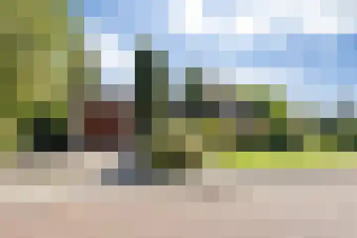 Dammenlaan 10 's-Hertogenbosch thumbnail 26