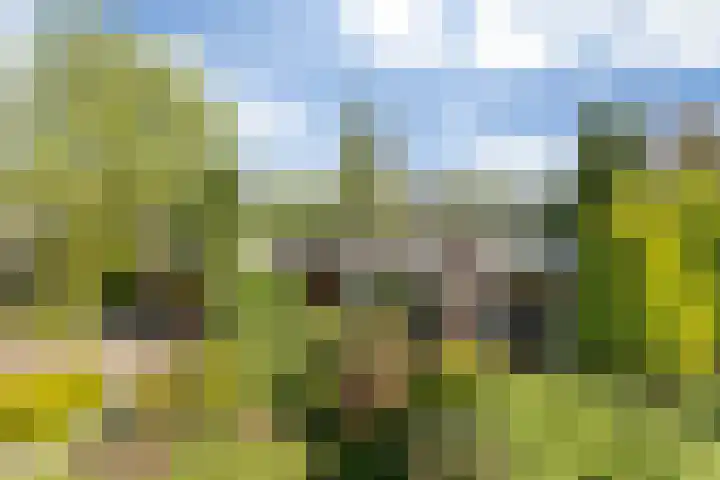 Dammenlaan 10 's-Hertogenbosch thumbnail 28