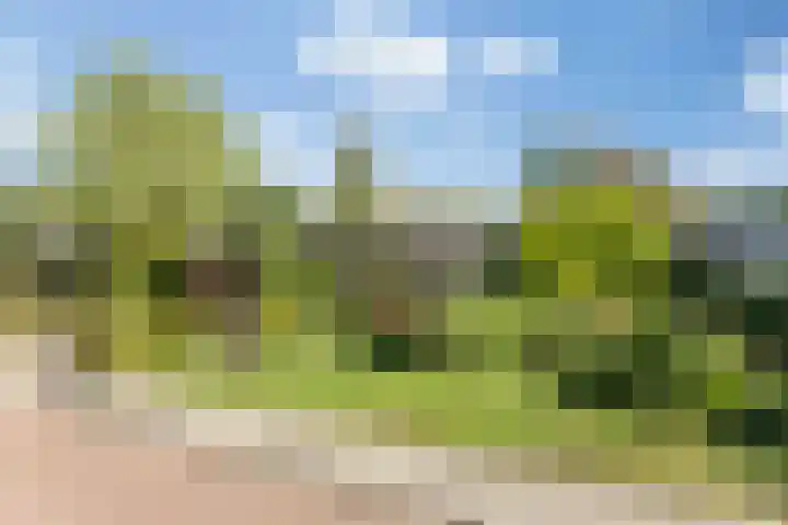 Dammenlaan 10 's-Hertogenbosch thumbnail 29