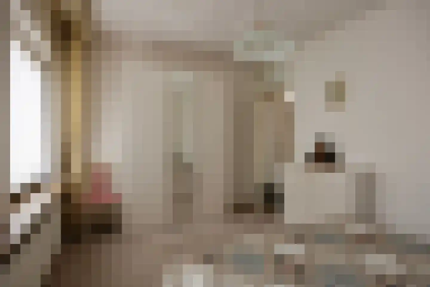 Dammenlaan 16 's-Hertogenbosch thumbnail 18