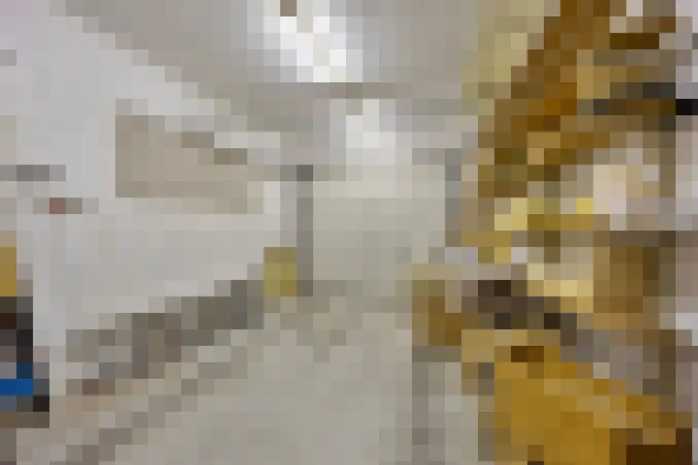Dammenlaan 16 's-Hertogenbosch thumbnail 27