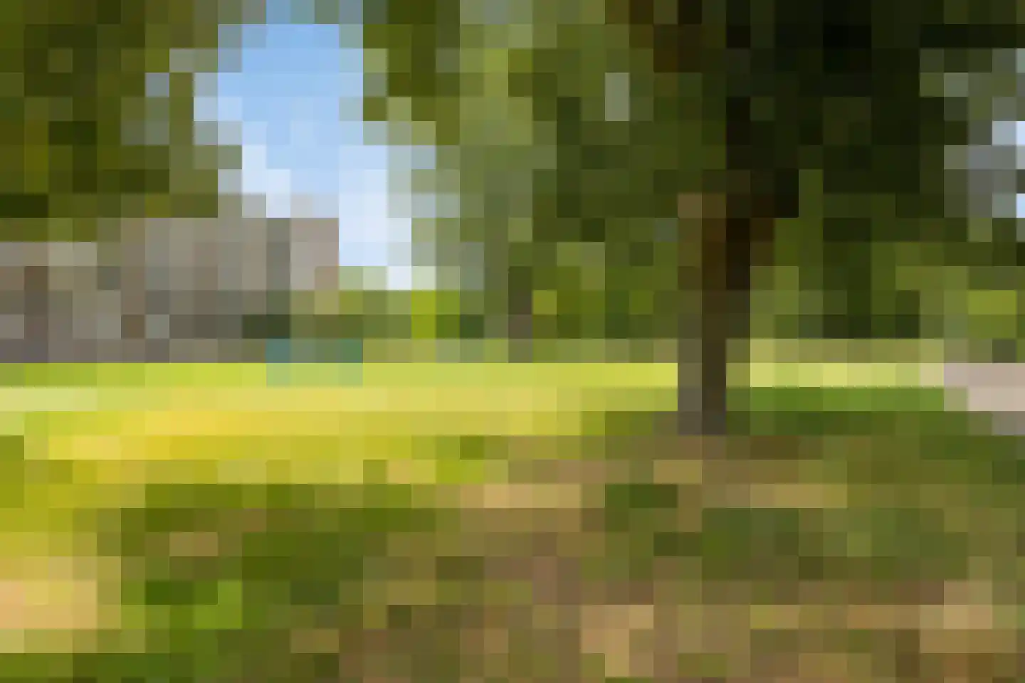 Dammenlaan 16 's-Hertogenbosch thumbnail 46