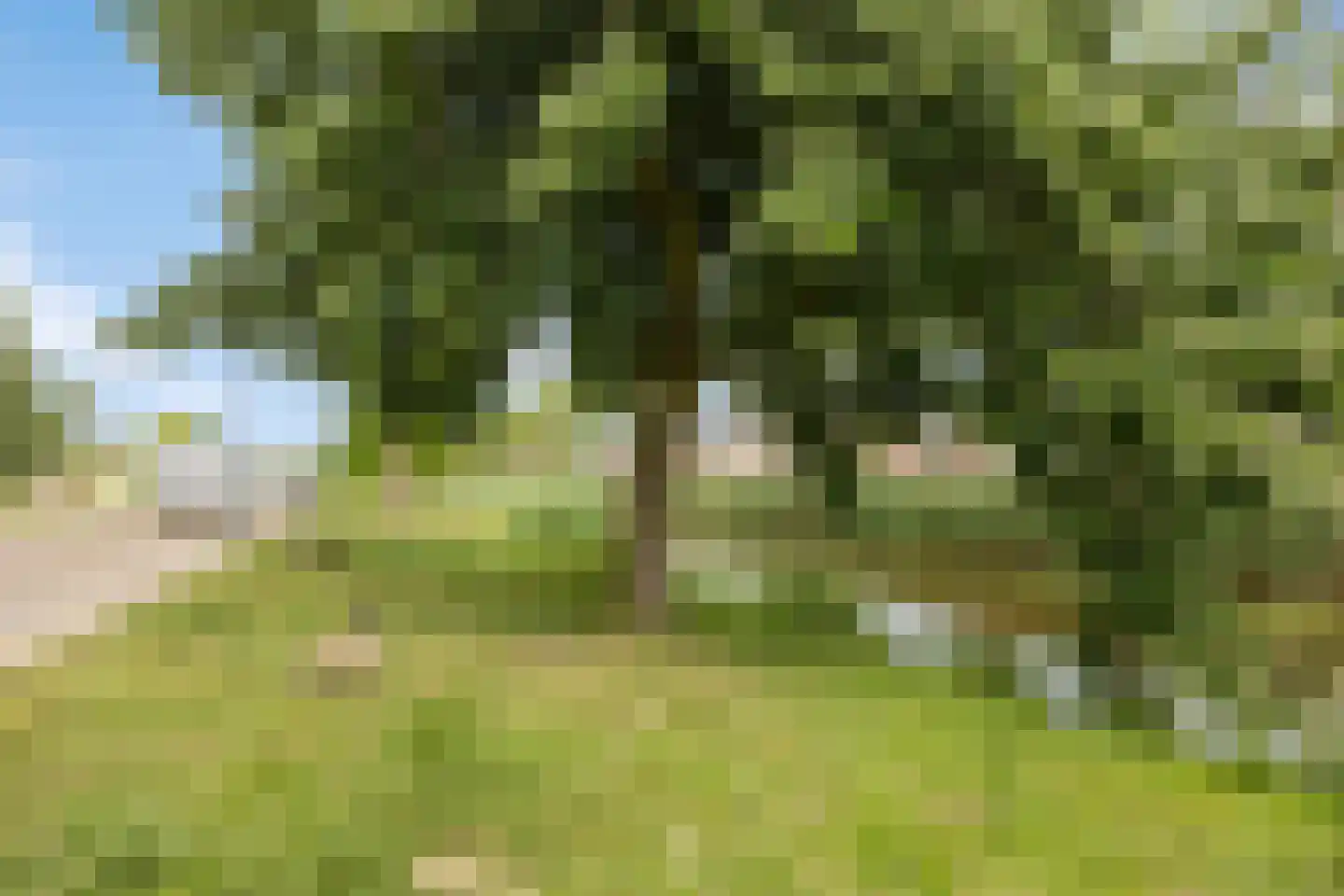 Dammenlaan 16 's-Hertogenbosch thumbnail 47