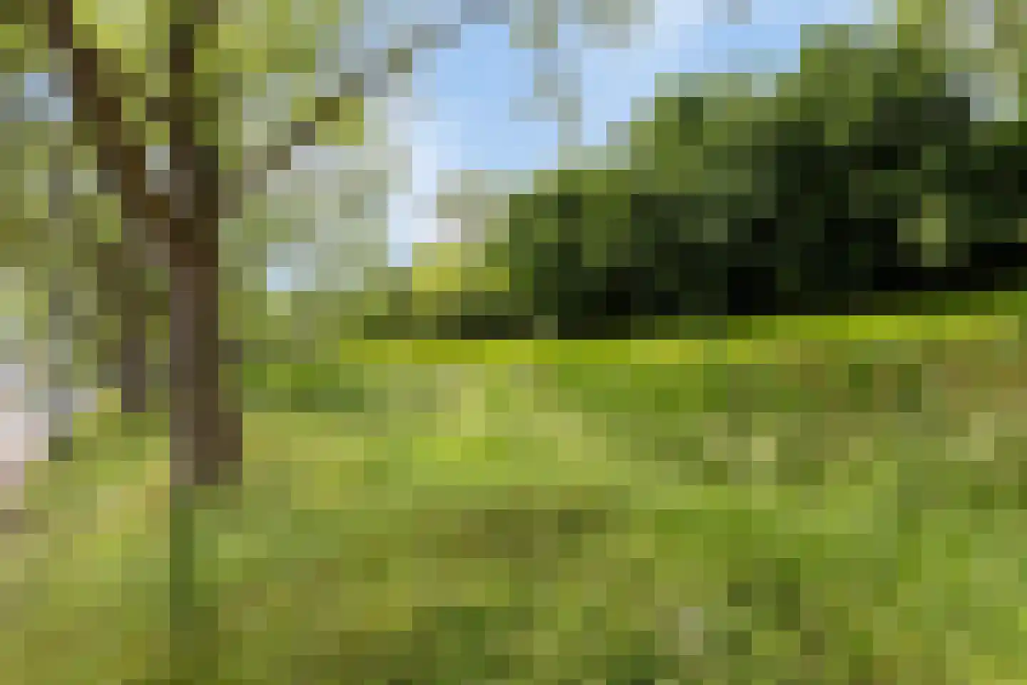 Dammenlaan 16 's-Hertogenbosch thumbnail 48