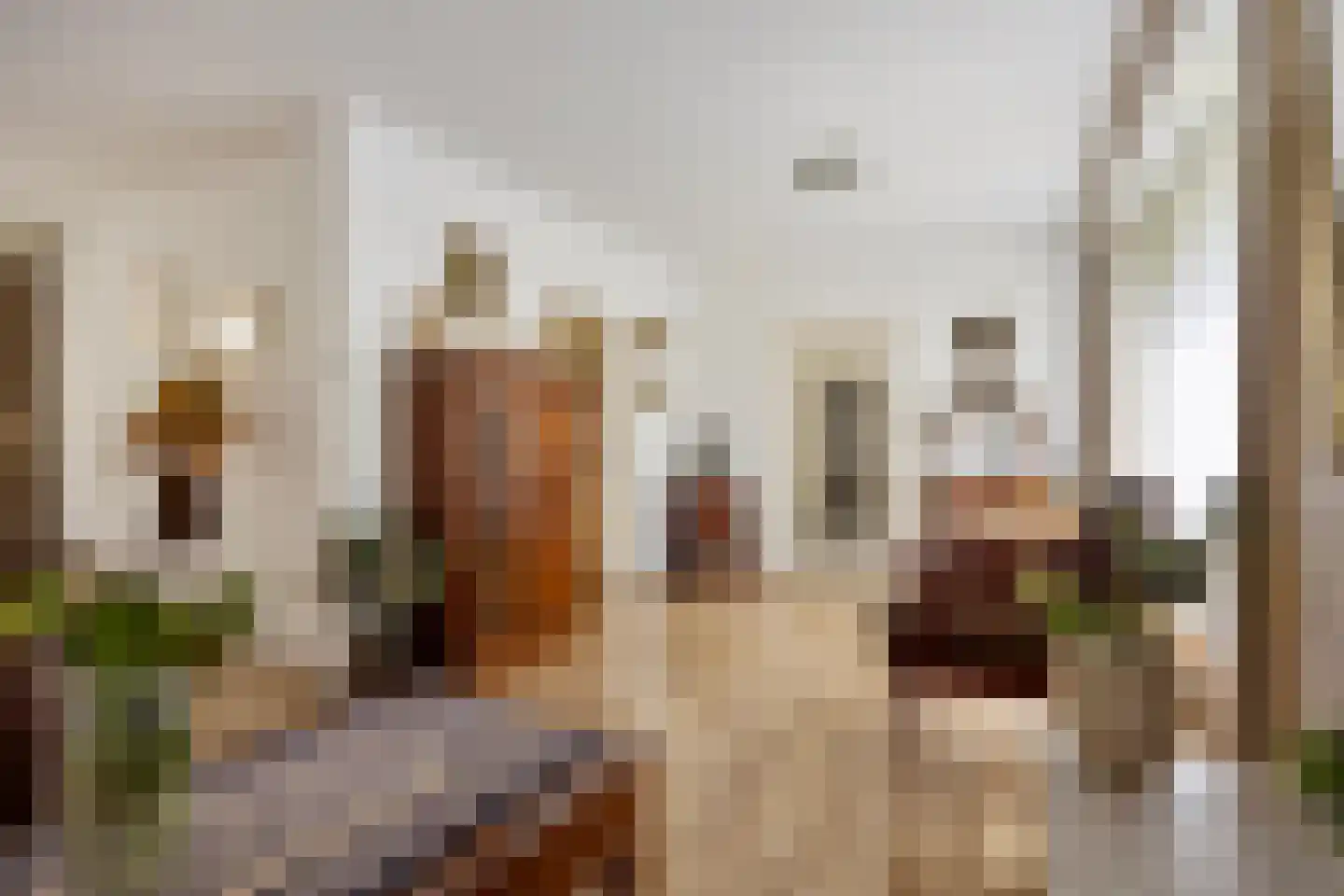 Dammenlaan 16 's-Hertogenbosch thumbnail 7