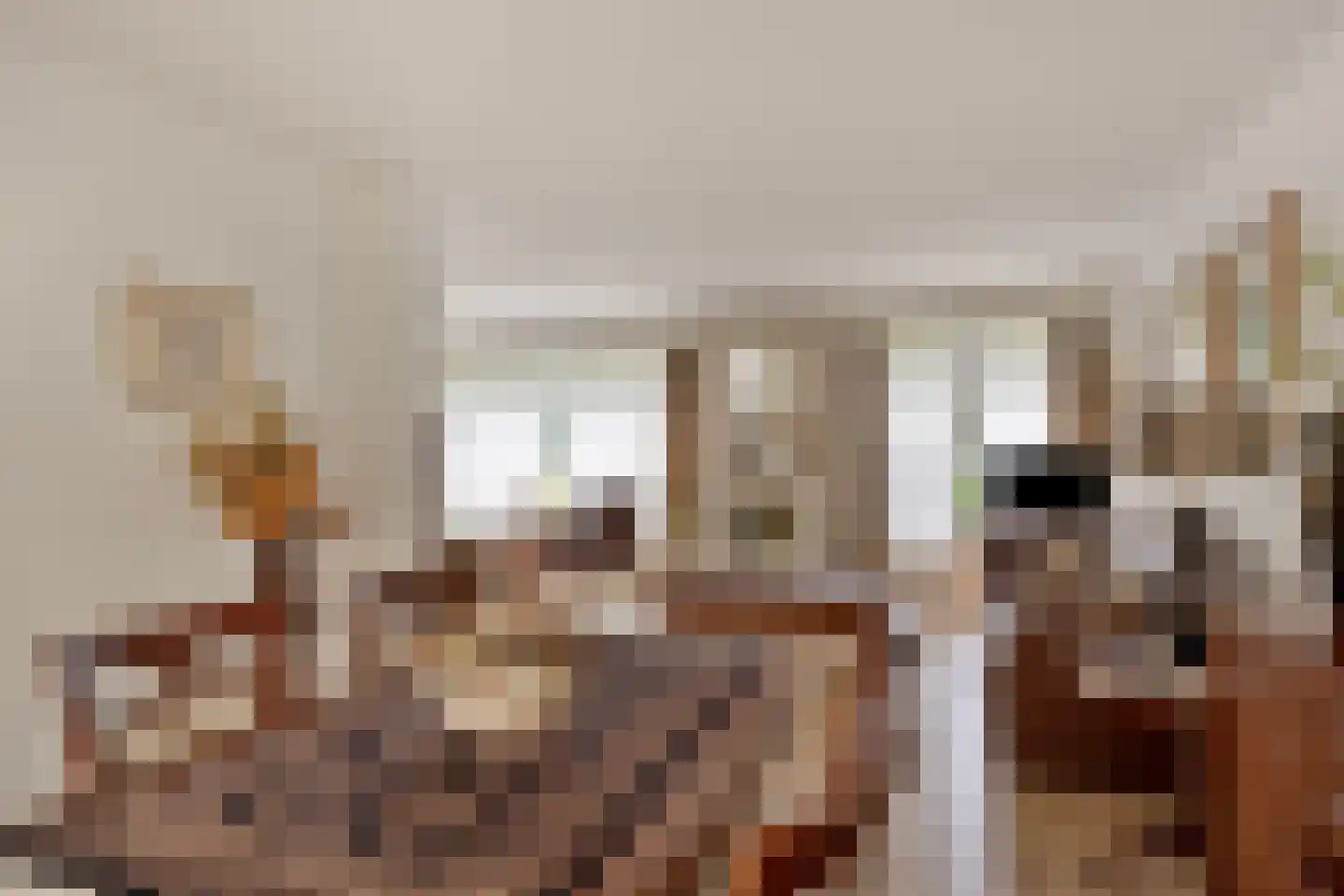 Dammenlaan 16 's-Hertogenbosch thumbnail 9