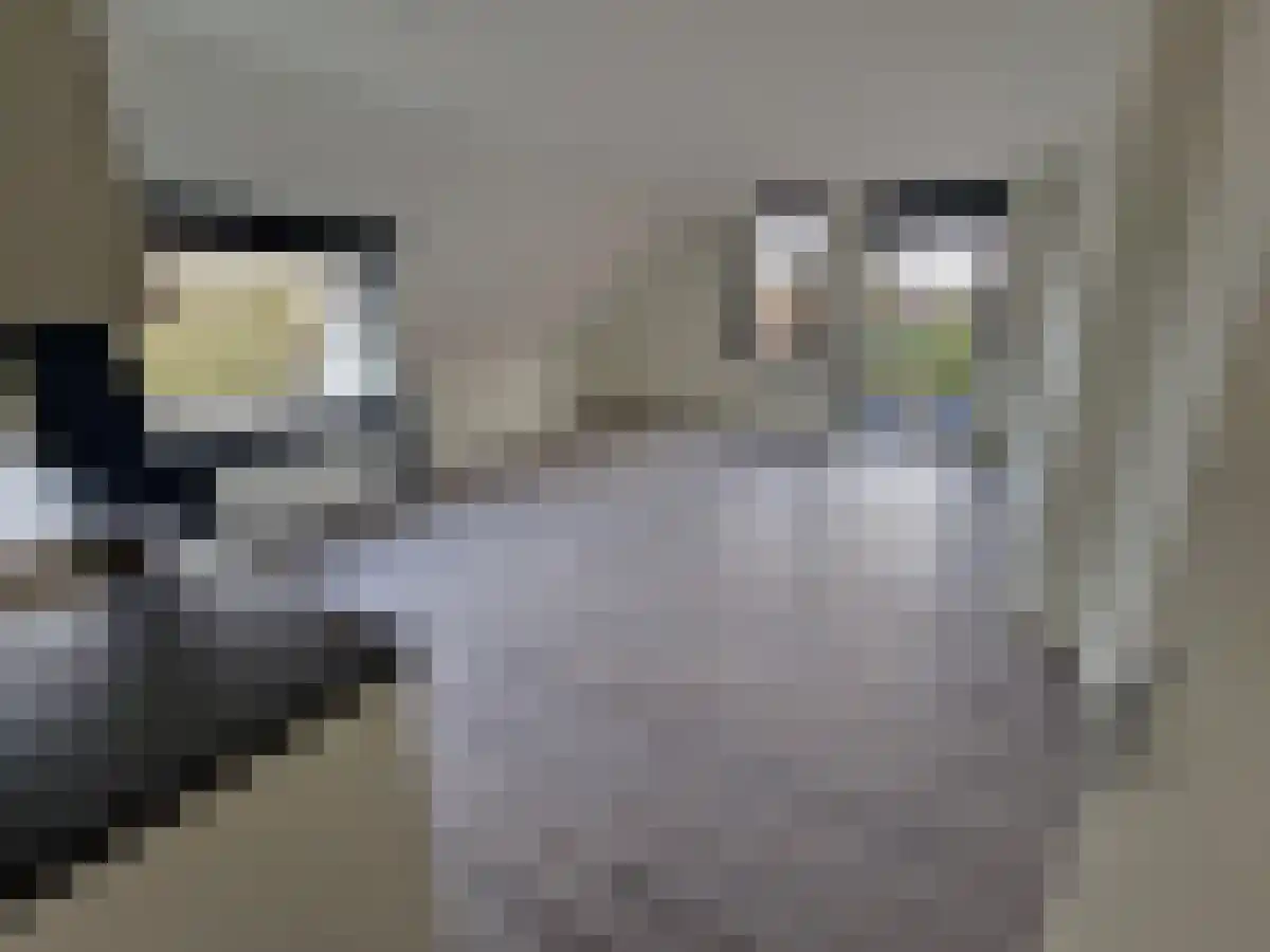 Dammenseweg 18 101 Koudum thumbnail 4