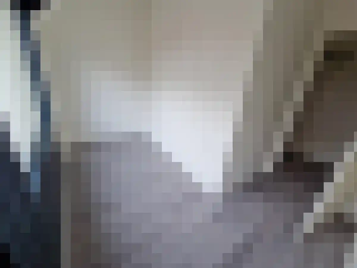 Dammenseweg 18 101 Koudum thumbnail 6