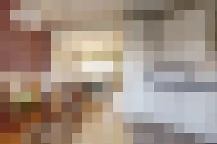Dammenseweg 37 Koudum thumbnail 11