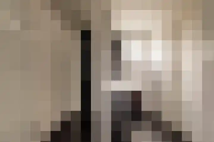 Dammenseweg 37 Koudum thumbnail 14