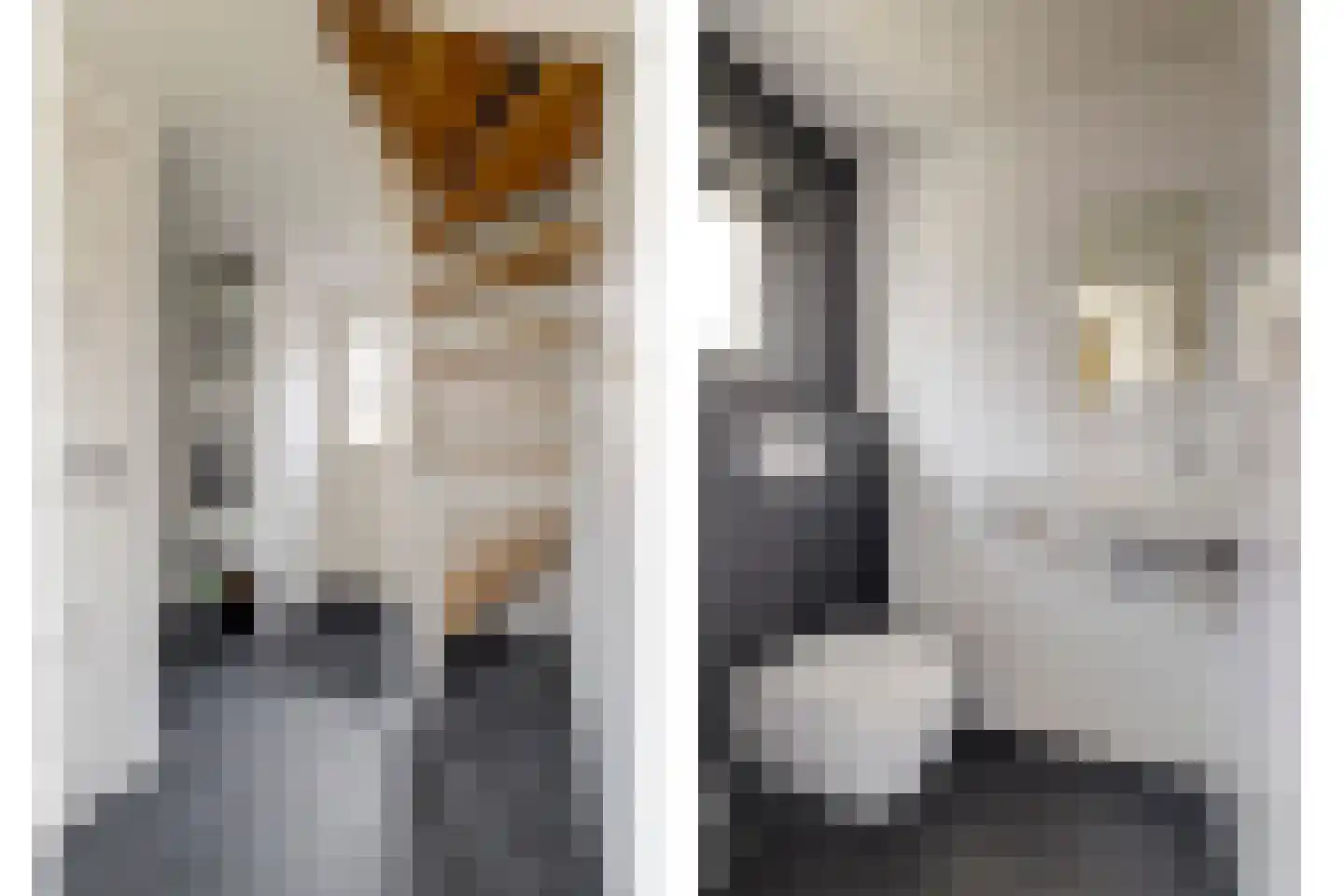Dammenseweg 37 Koudum thumbnail 15