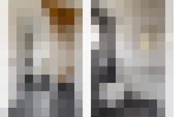 Dammenseweg 37 Koudum thumbnail 15