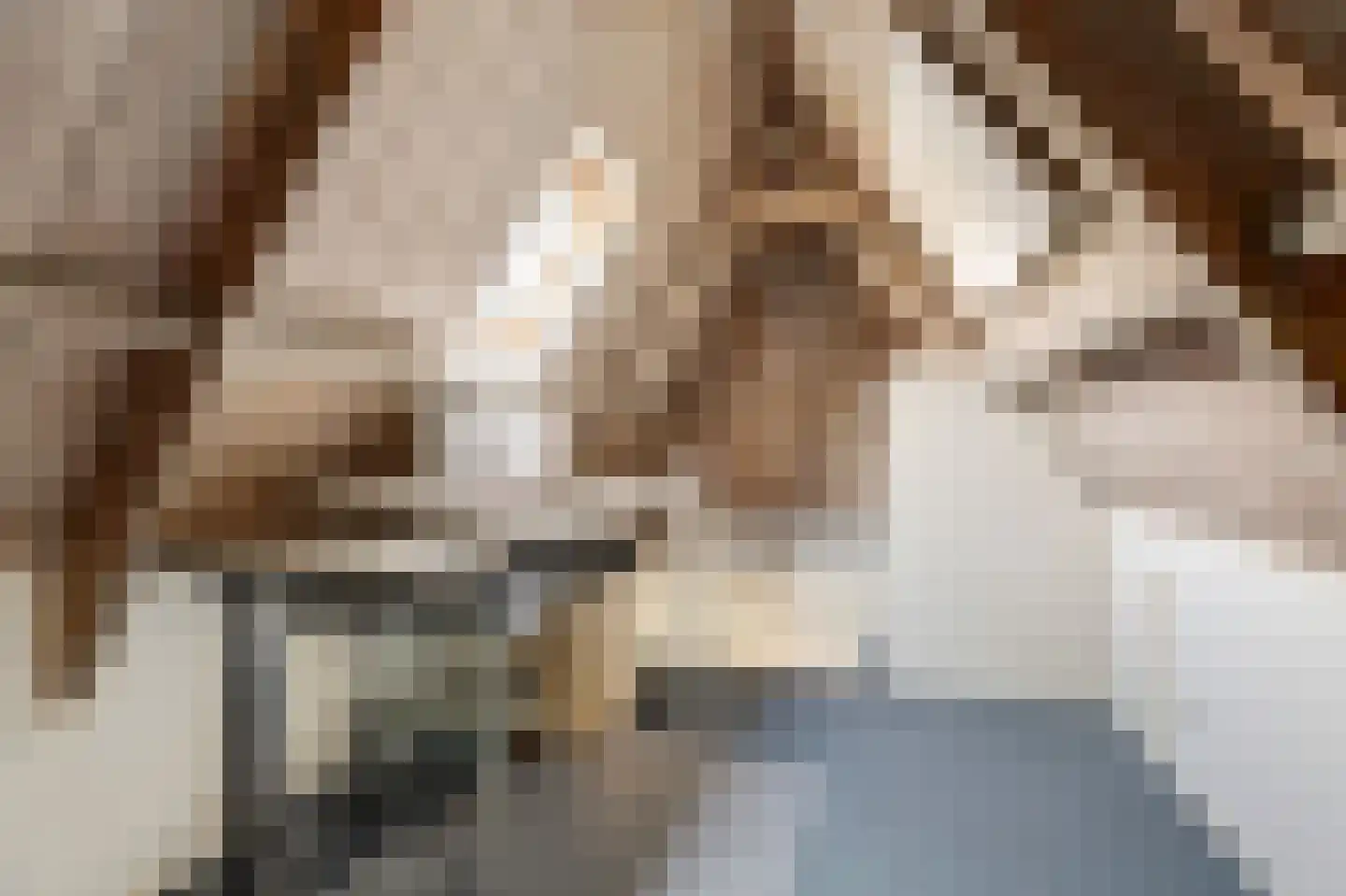 Dammenseweg 37 Koudum thumbnail 16