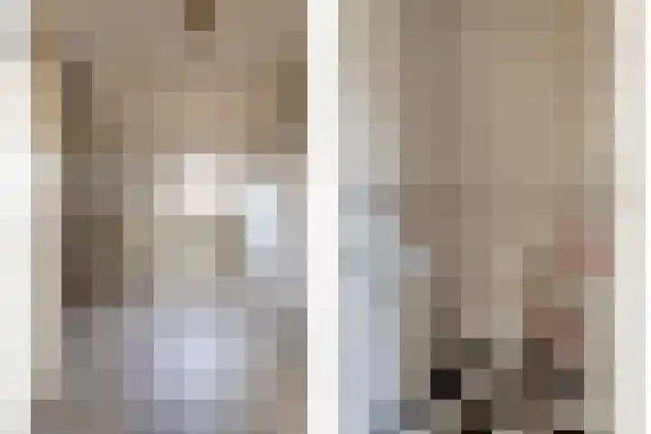 Dammenseweg 37 Koudum thumbnail 17