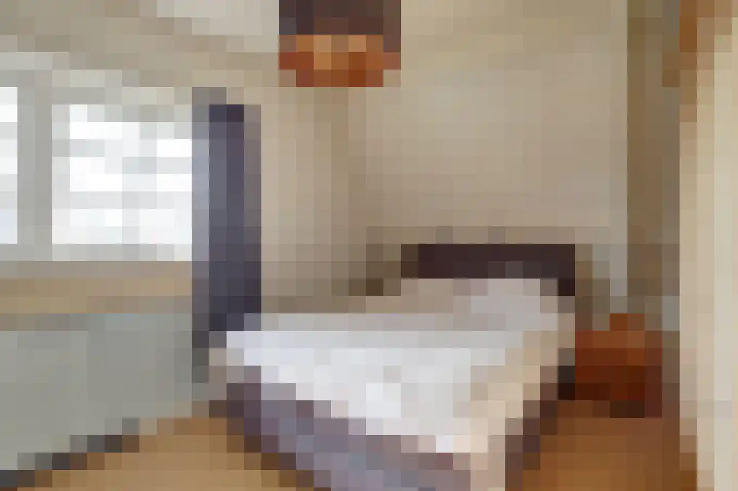 Dammenseweg 37 Koudum thumbnail 19