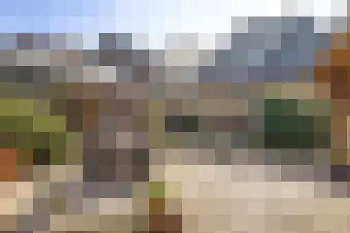 Dammenseweg 37 Koudum thumbnail 21