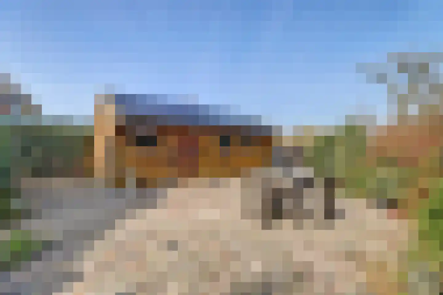 Dammenseweg 37 Koudum thumbnail 22