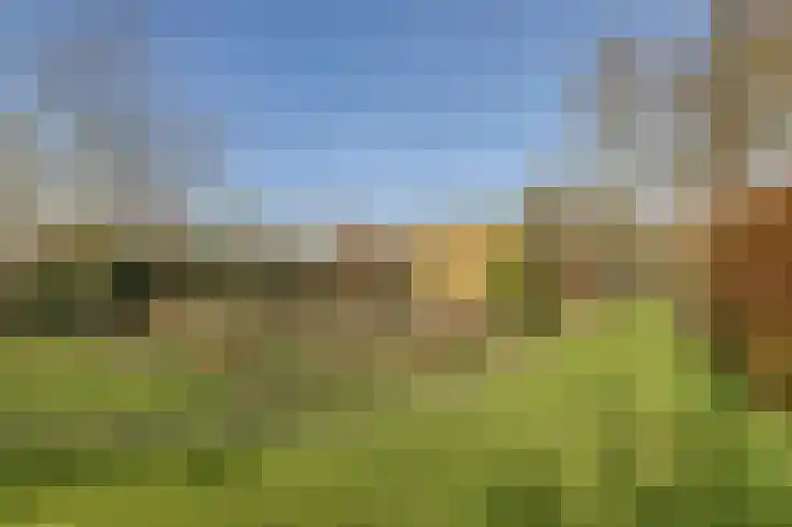 Dammenseweg 37 Koudum thumbnail 28