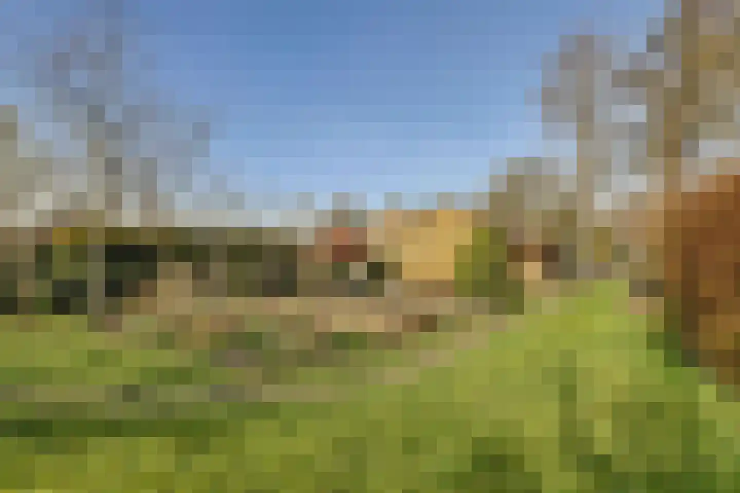Dammenseweg 37 Koudum thumbnail 28