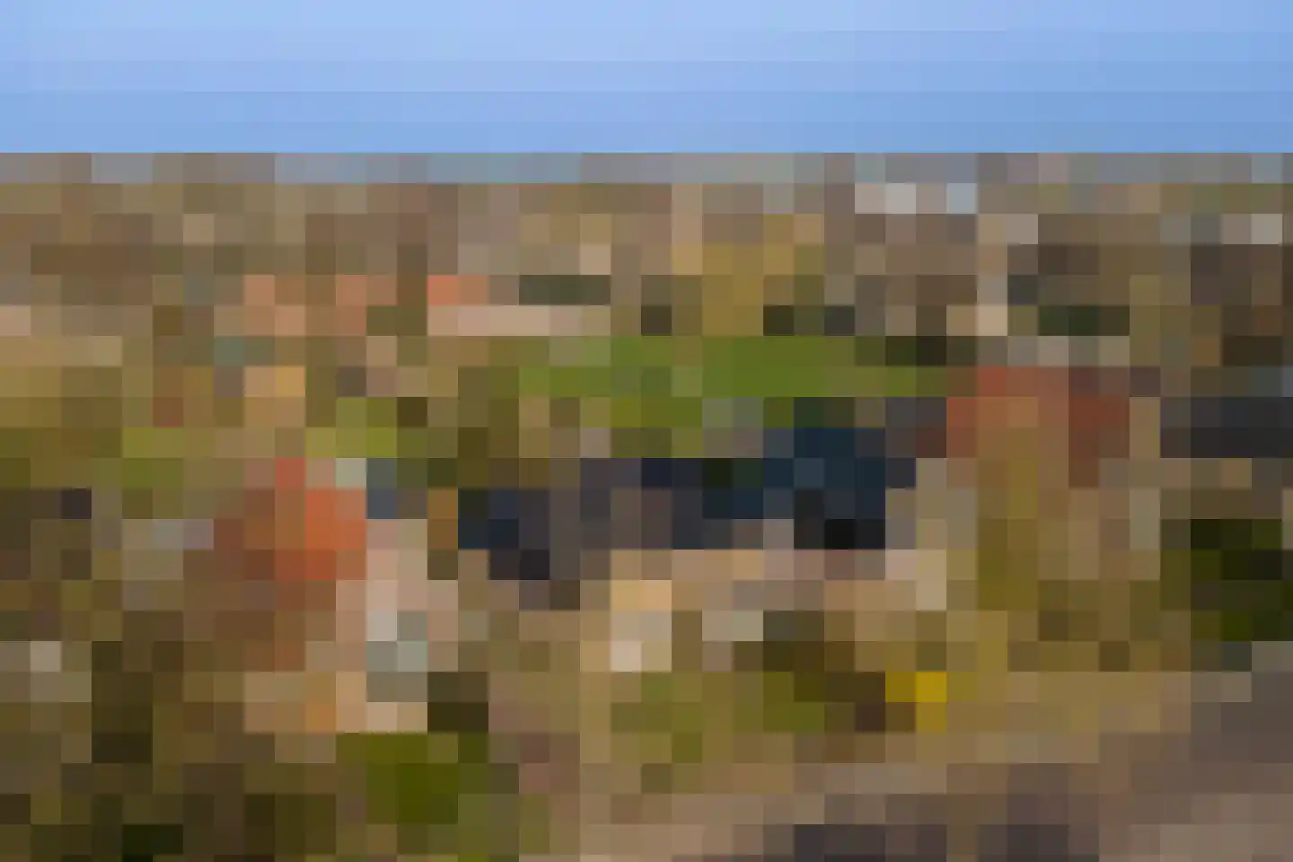 Dammenseweg 37 Koudum thumbnail 33