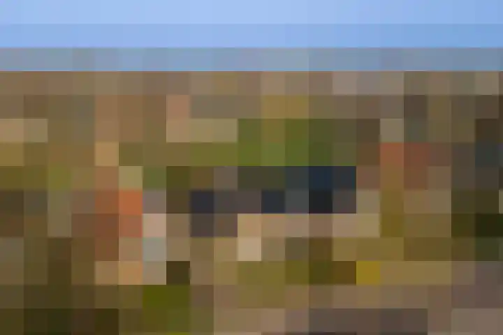 Dammenseweg 37 Koudum thumbnail 33