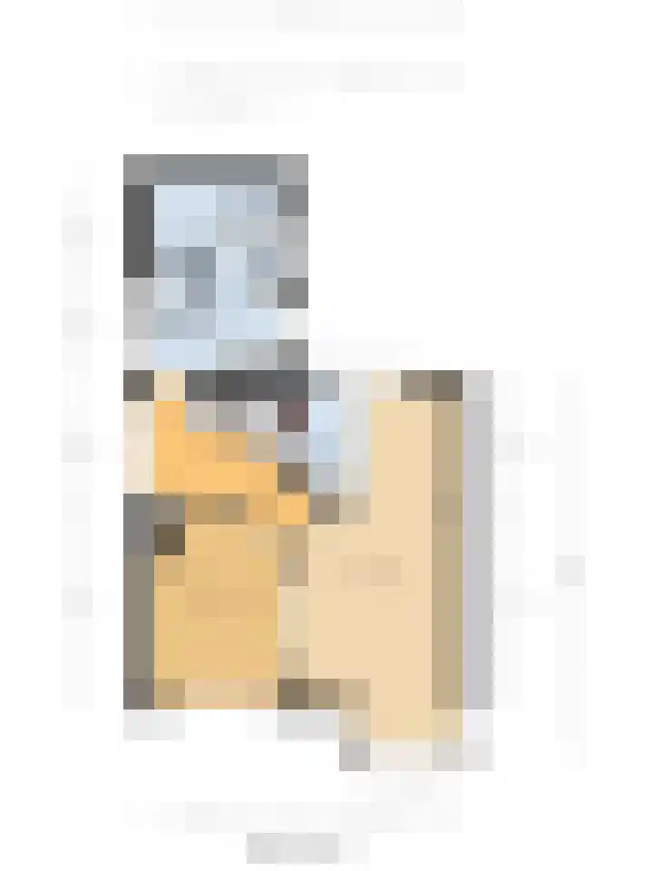 Dammenseweg 37 Koudum thumbnail 35