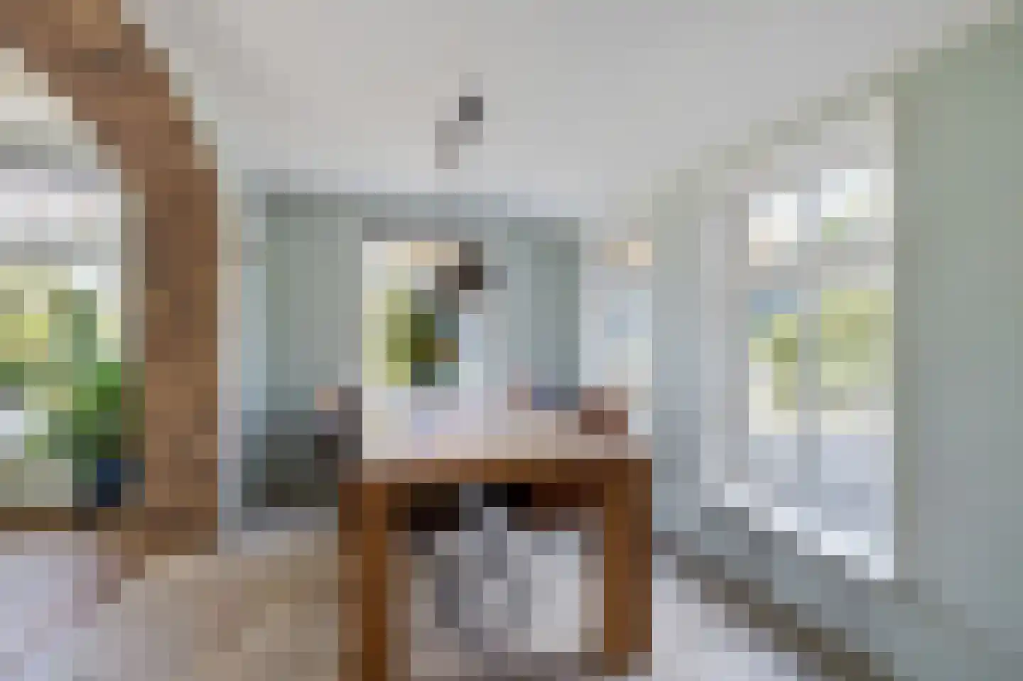 Dammenseweg 37 Koudum thumbnail 38