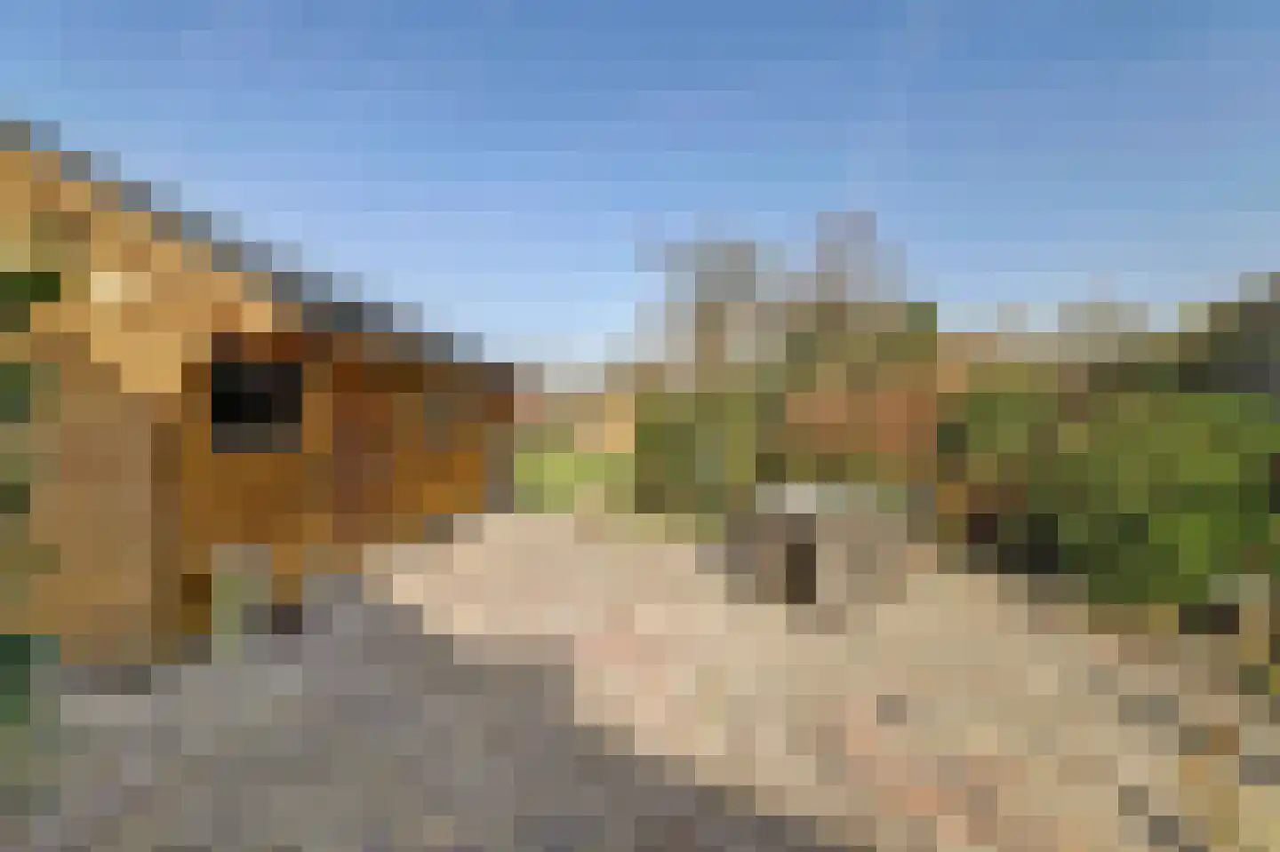 Dammenseweg 37 Koudum thumbnail 4