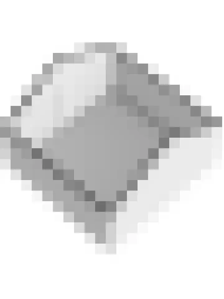 Dammenseweg 37 Koudum thumbnail 44