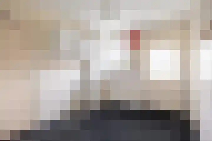 Dammenseweg 37 Koudum thumbnail 46