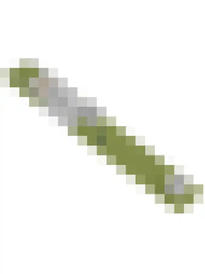 Dammenseweg 37 Koudum thumbnail 50