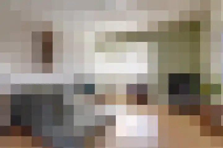 Dammenseweg 37 Koudum thumbnail 6