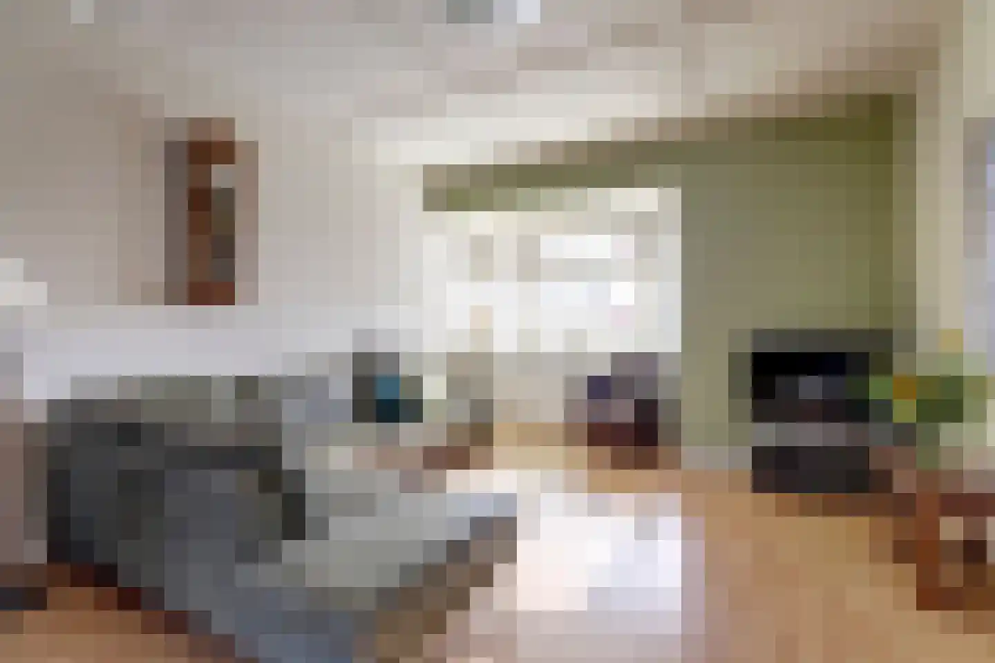 Dammenseweg 37 Koudum thumbnail 6