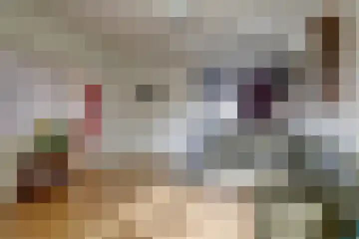 Dammenseweg 37 Koudum thumbnail 7