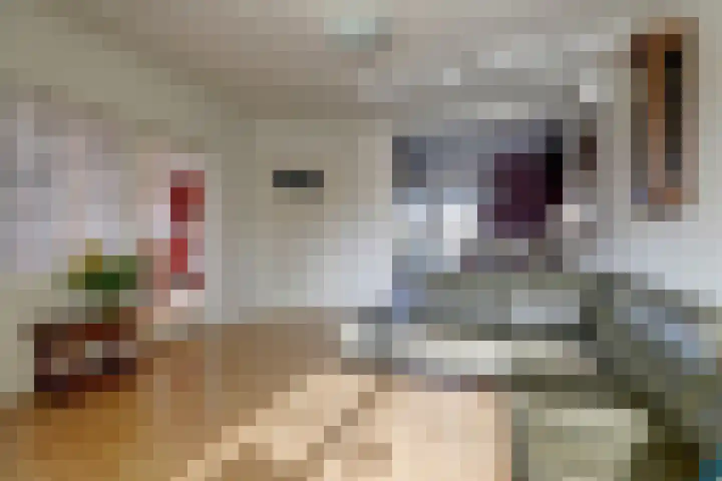 Dammenseweg 37 Koudum thumbnail 7