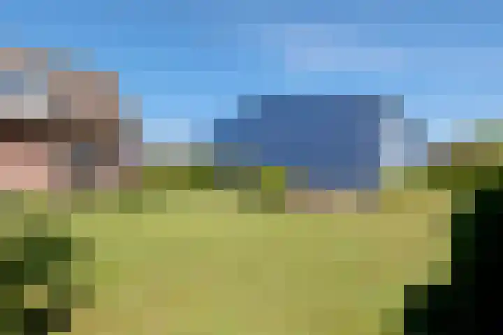 Dammersbeek 19 Nijkerk thumbnail 4