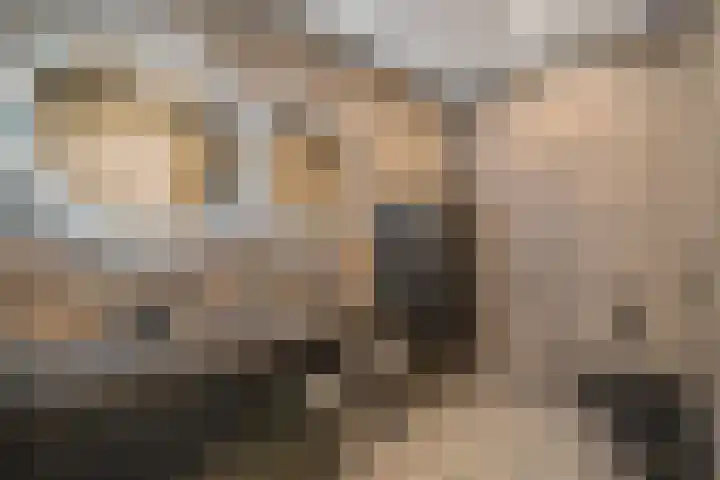 Dammersbeek 19 Nijkerk thumbnail 42