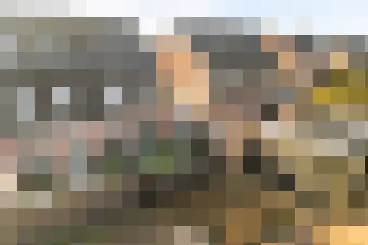 Dammersbeek 19 Nijkerk thumbnail 51