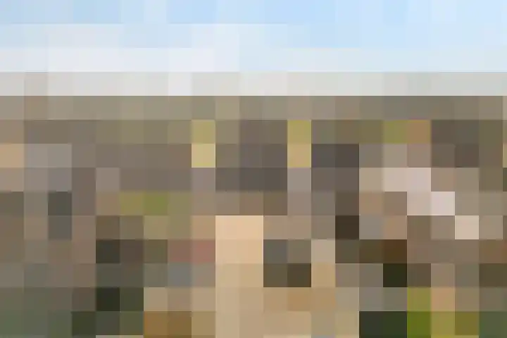 Dammersbeek 19 Nijkerk thumbnail 58